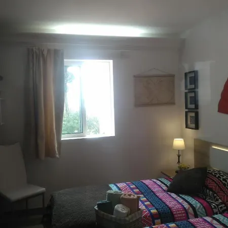 Wonder البوفيرا